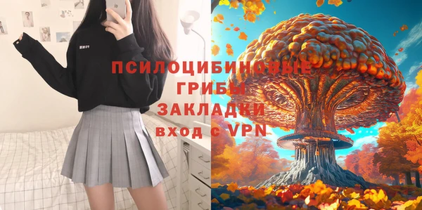 твердый Покровск