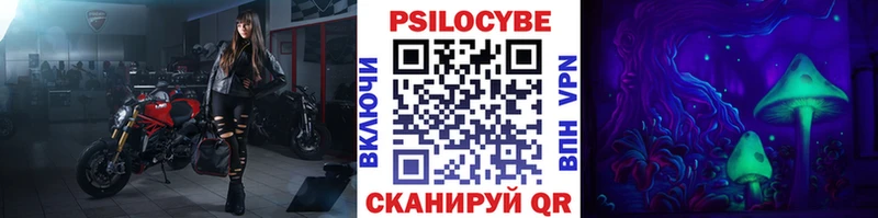 Галлюциногенные грибы Psilocybe Баймак